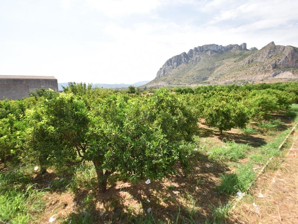 Plot in El Vergel-Els Poblets 