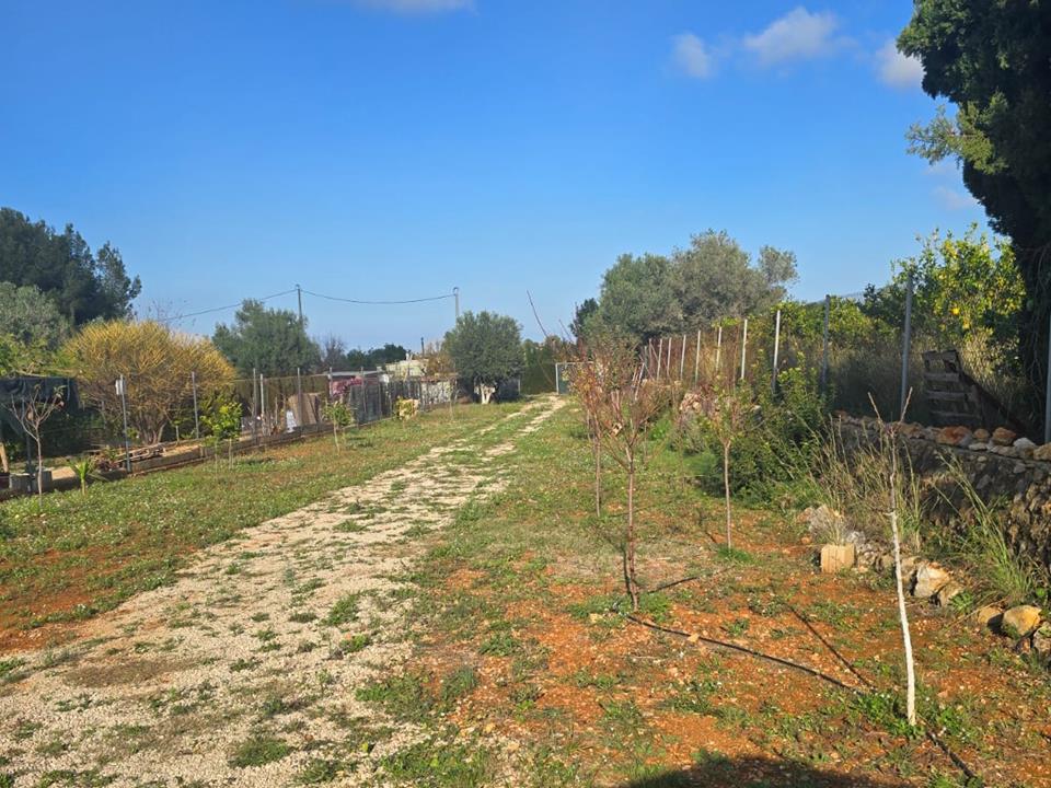 Terreno · Sella · 1 hab.