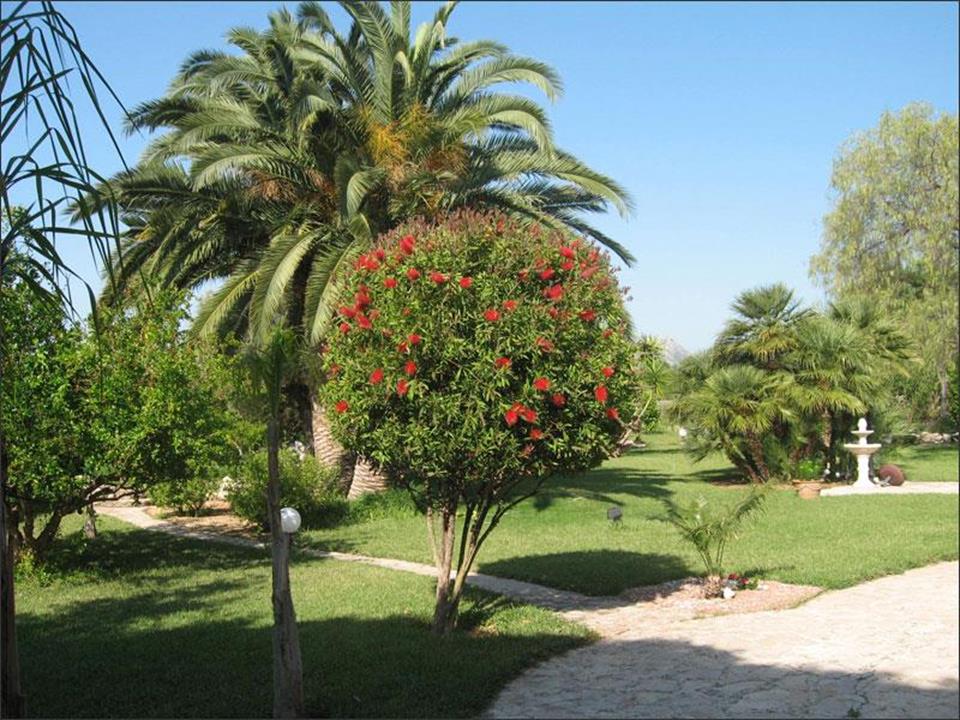 Vente. Villa à Denia