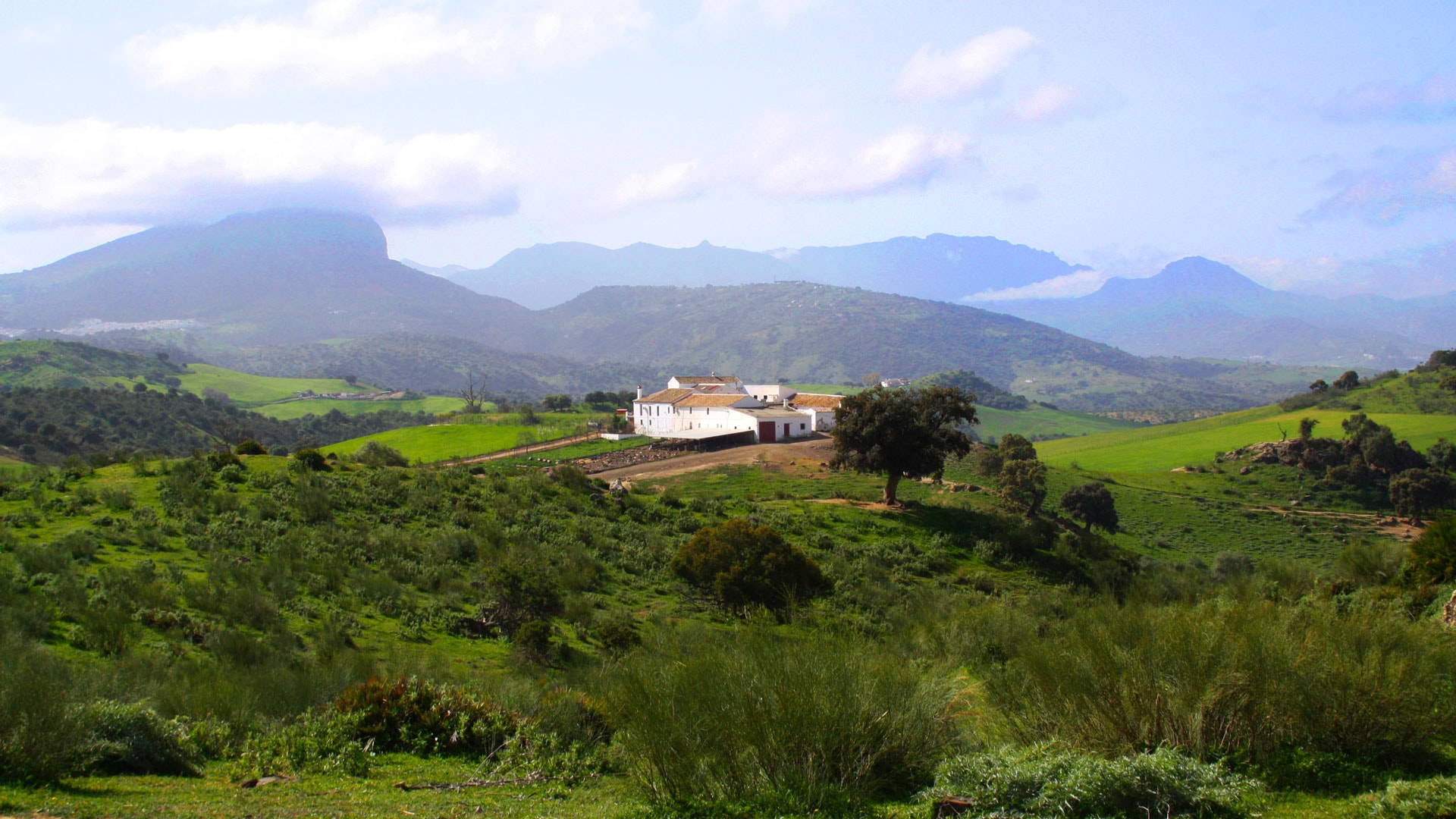 10 Bedroom Cortijo in Olvera