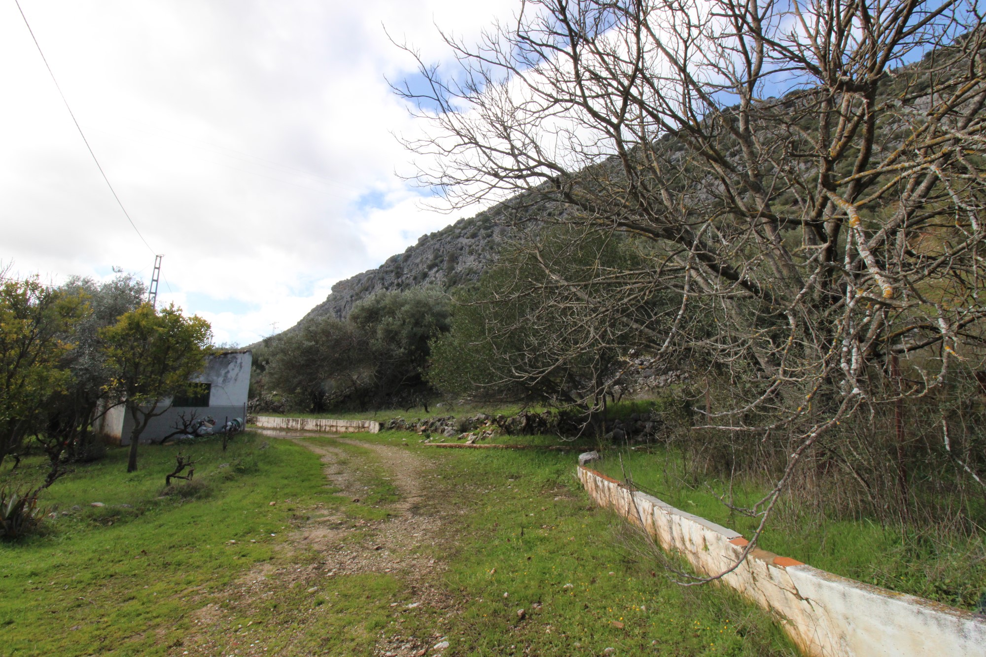 Warehouse in Benaojan