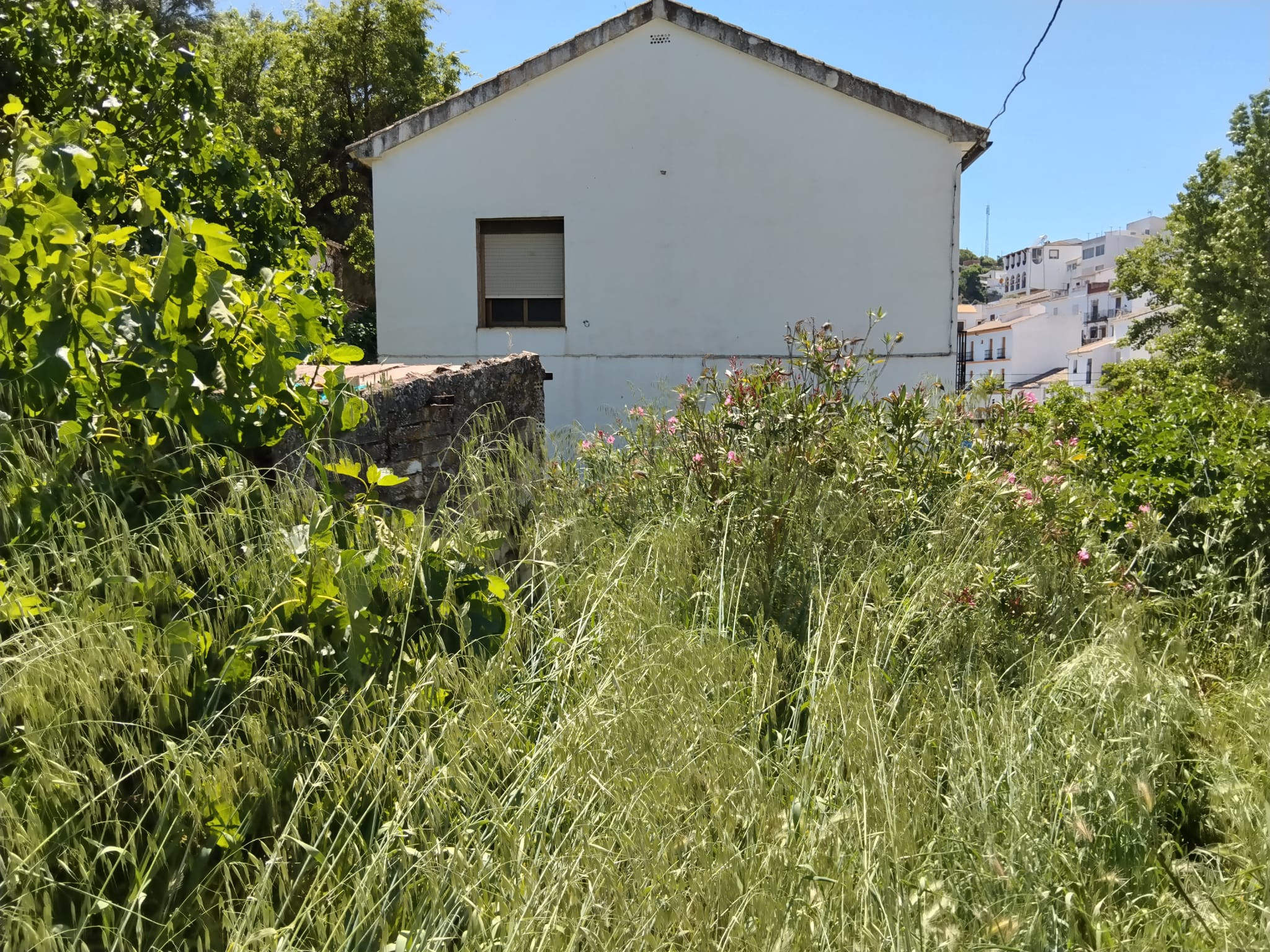 Village House in Setenil De Las Bodegas