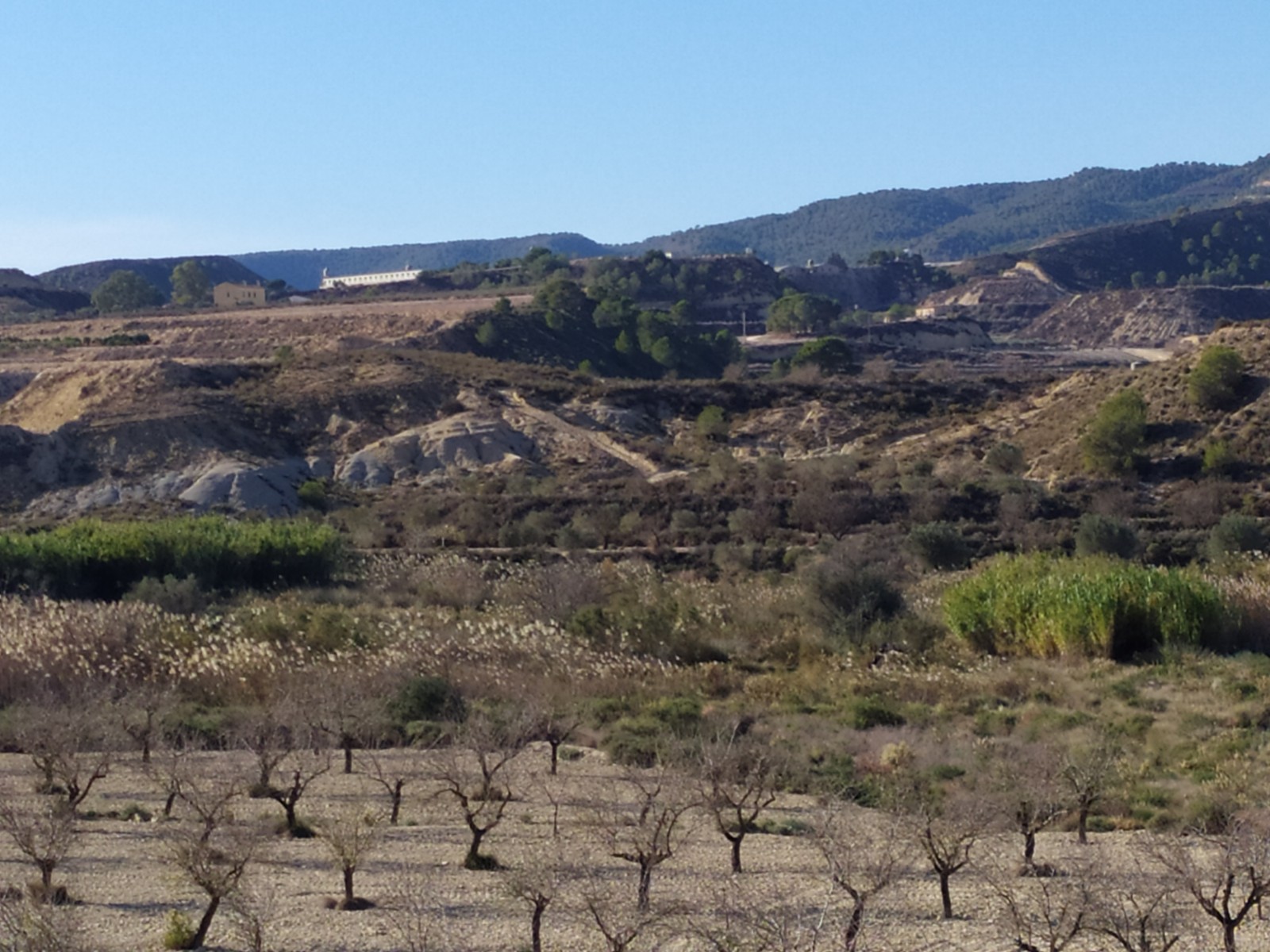 Finca for sale Orihuela