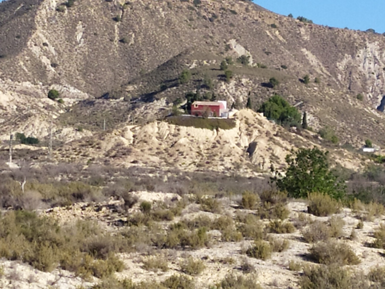 JRP Real Estate