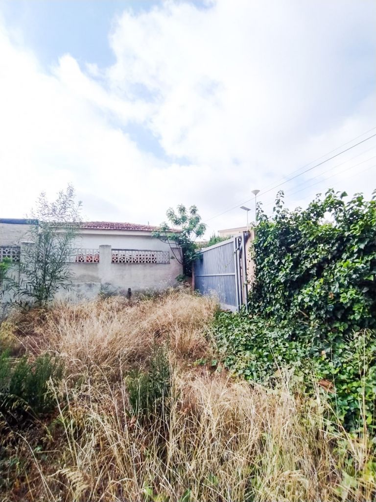 JRP Real Estate