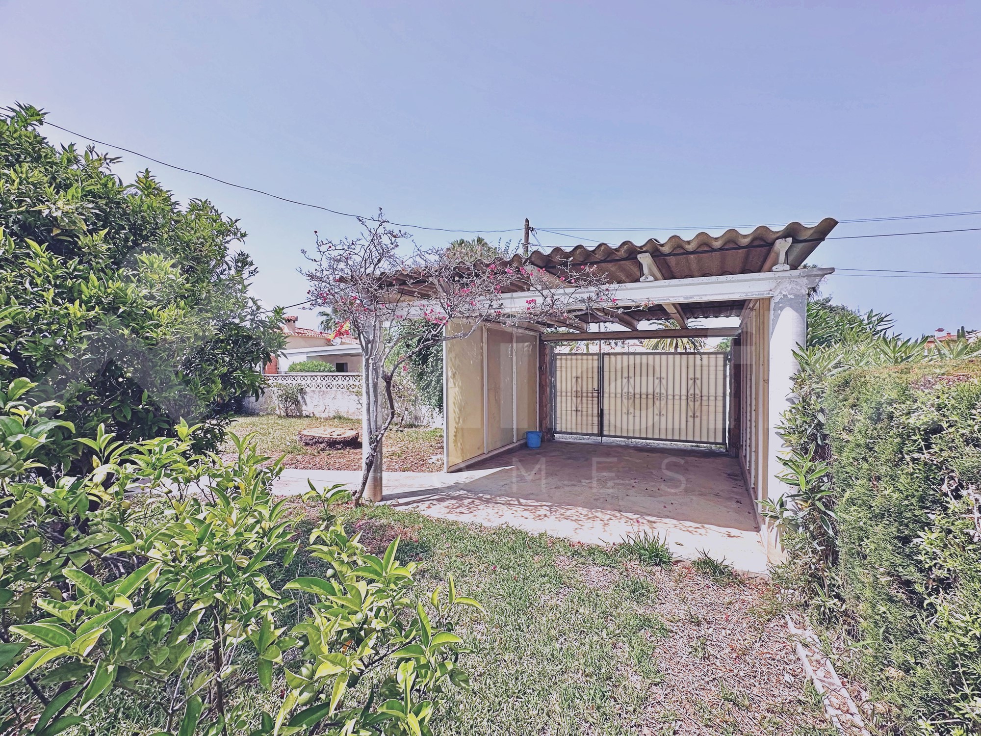 Miraflor Homes
