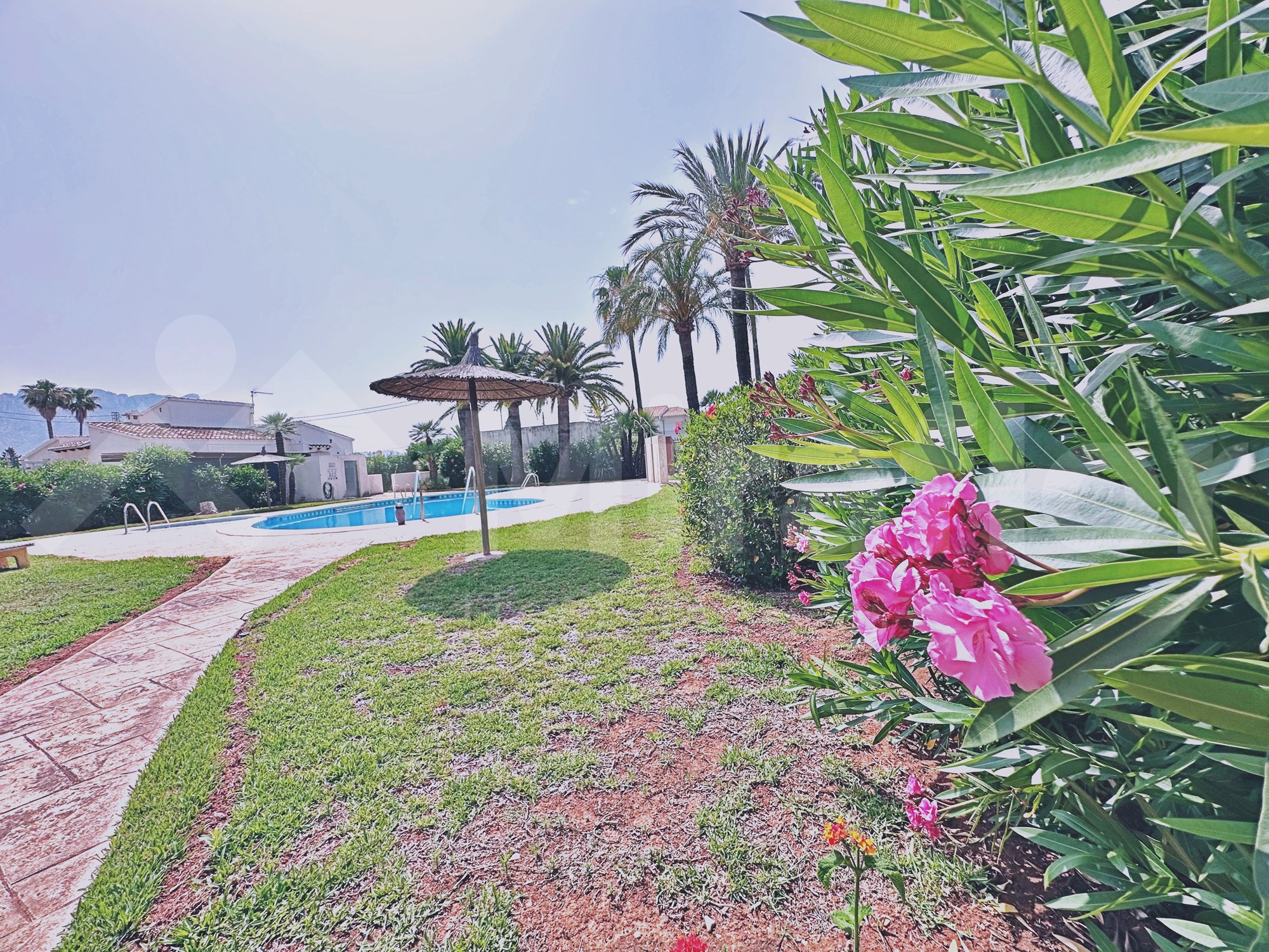 Miraflor Homes