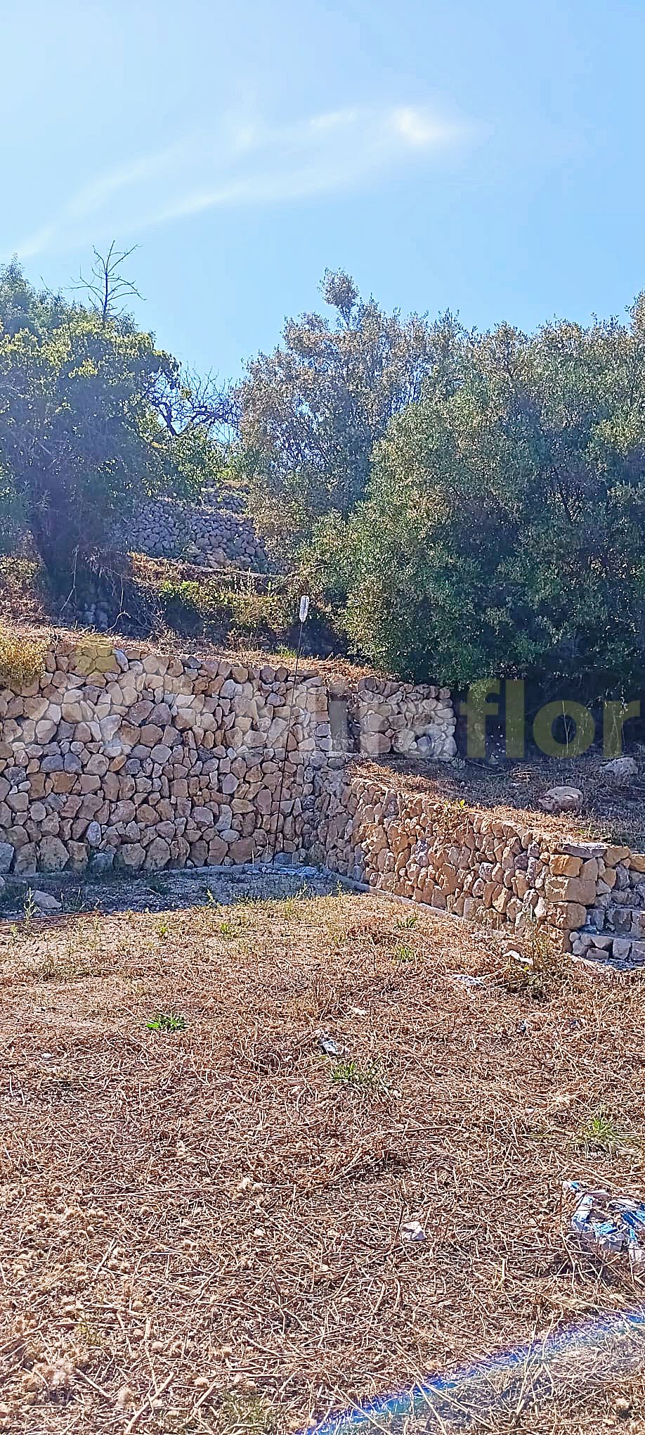 Miraflor Homes