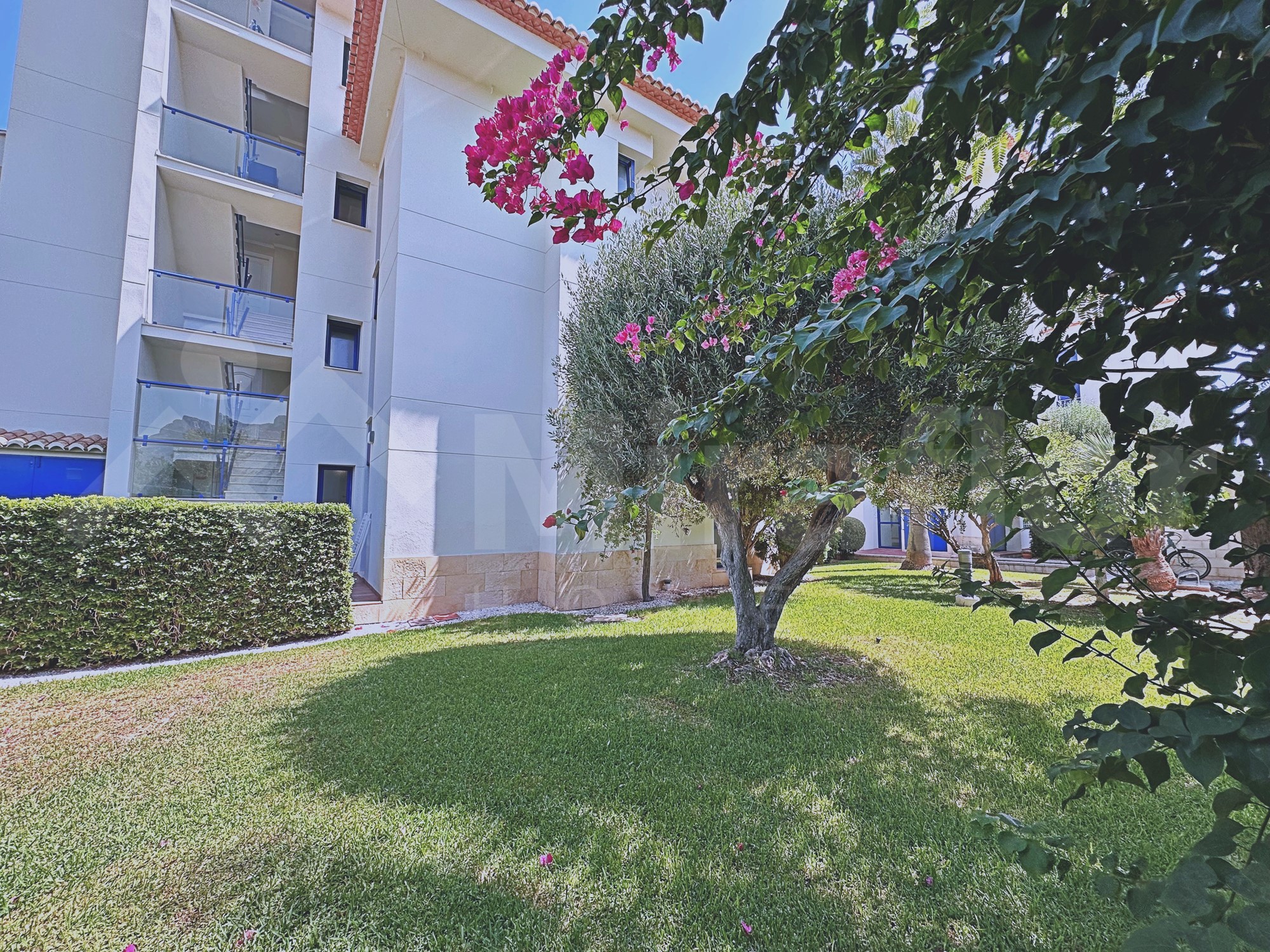 Miraflor Homes