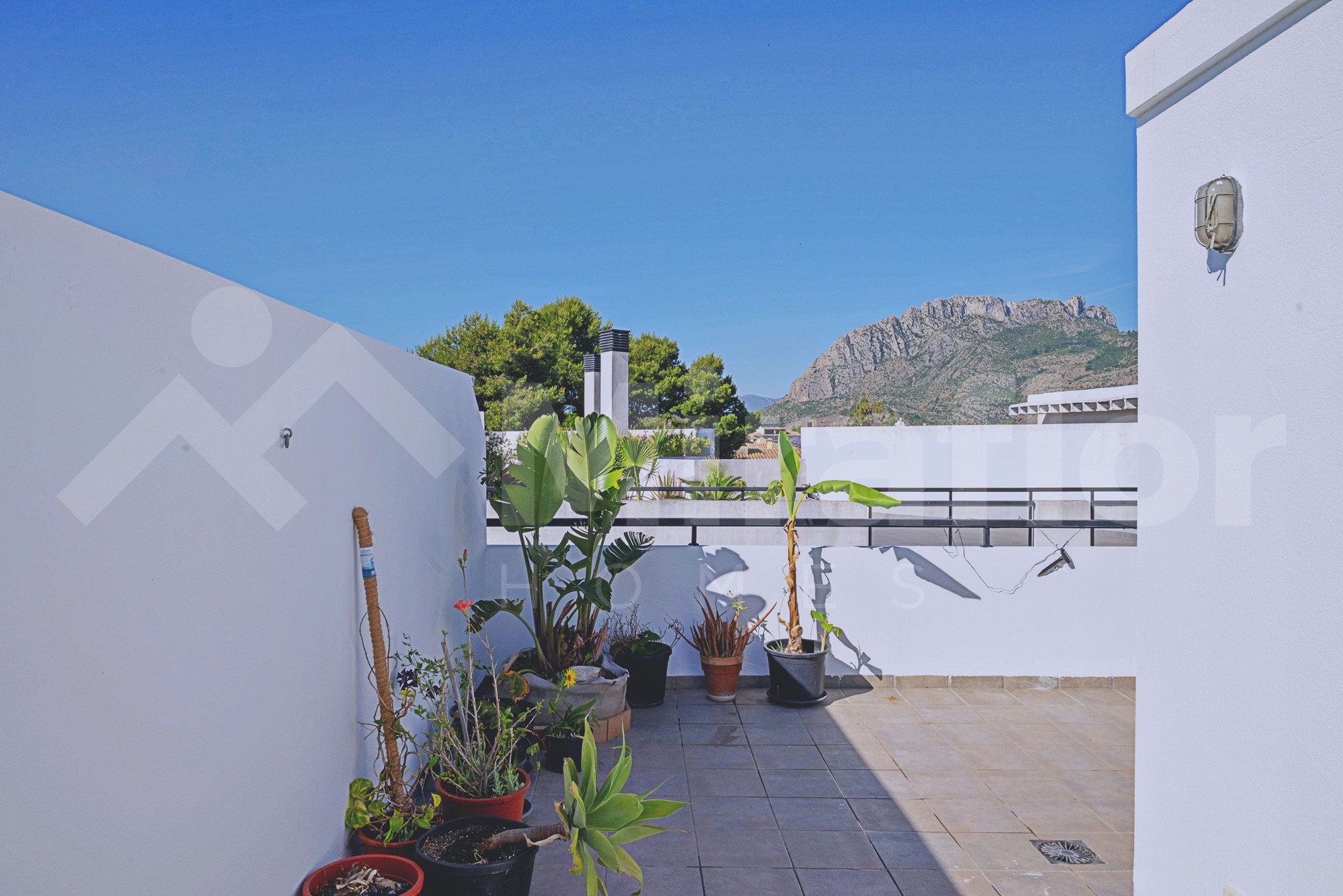 Miraflor Homes