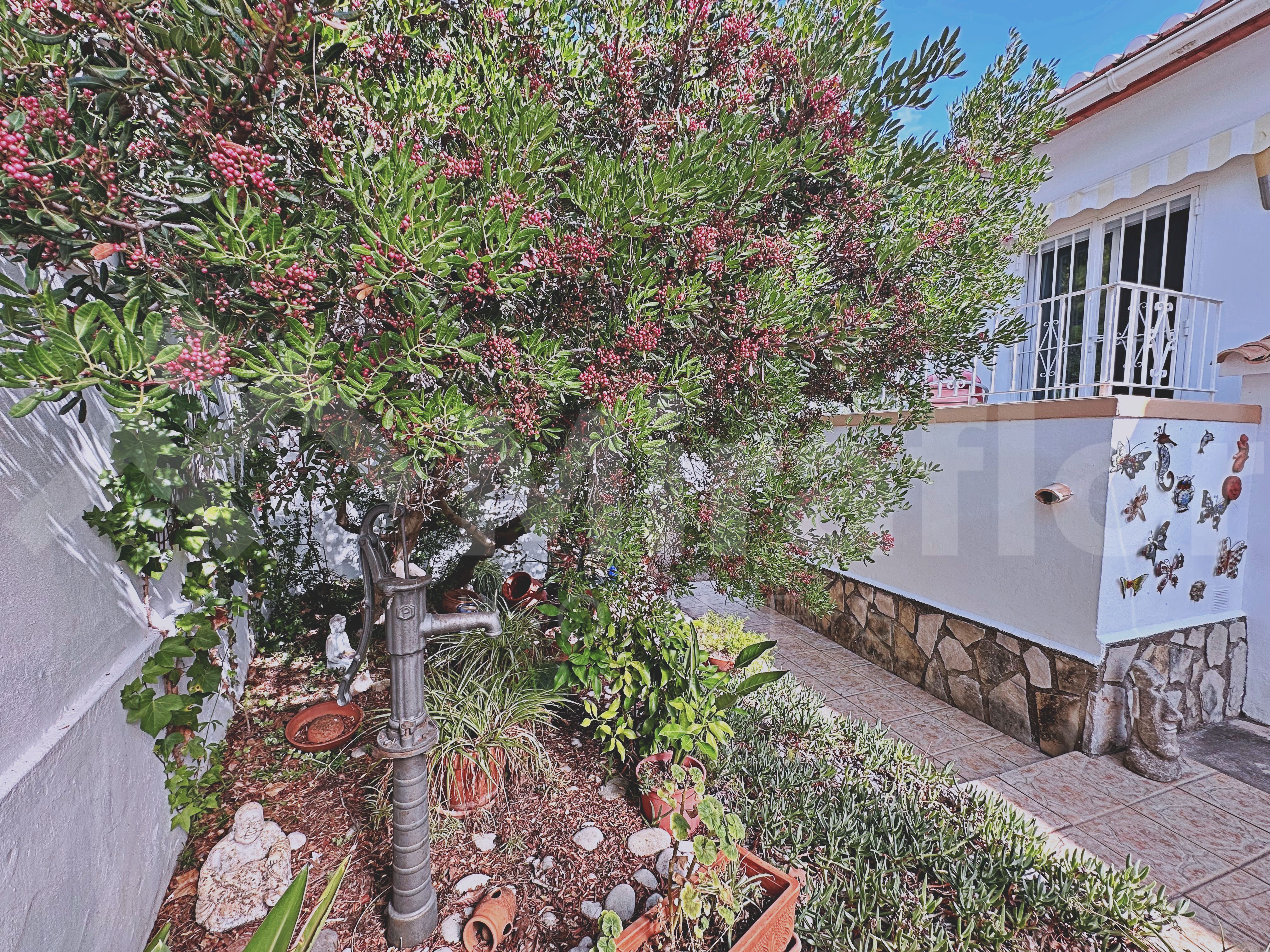 Miraflor Homes