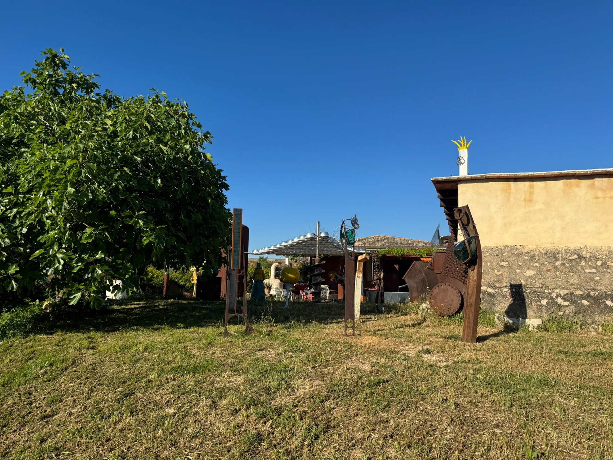 Renvida