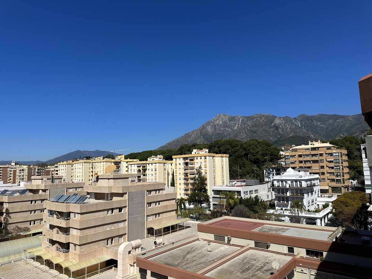 Alfa Marbella
