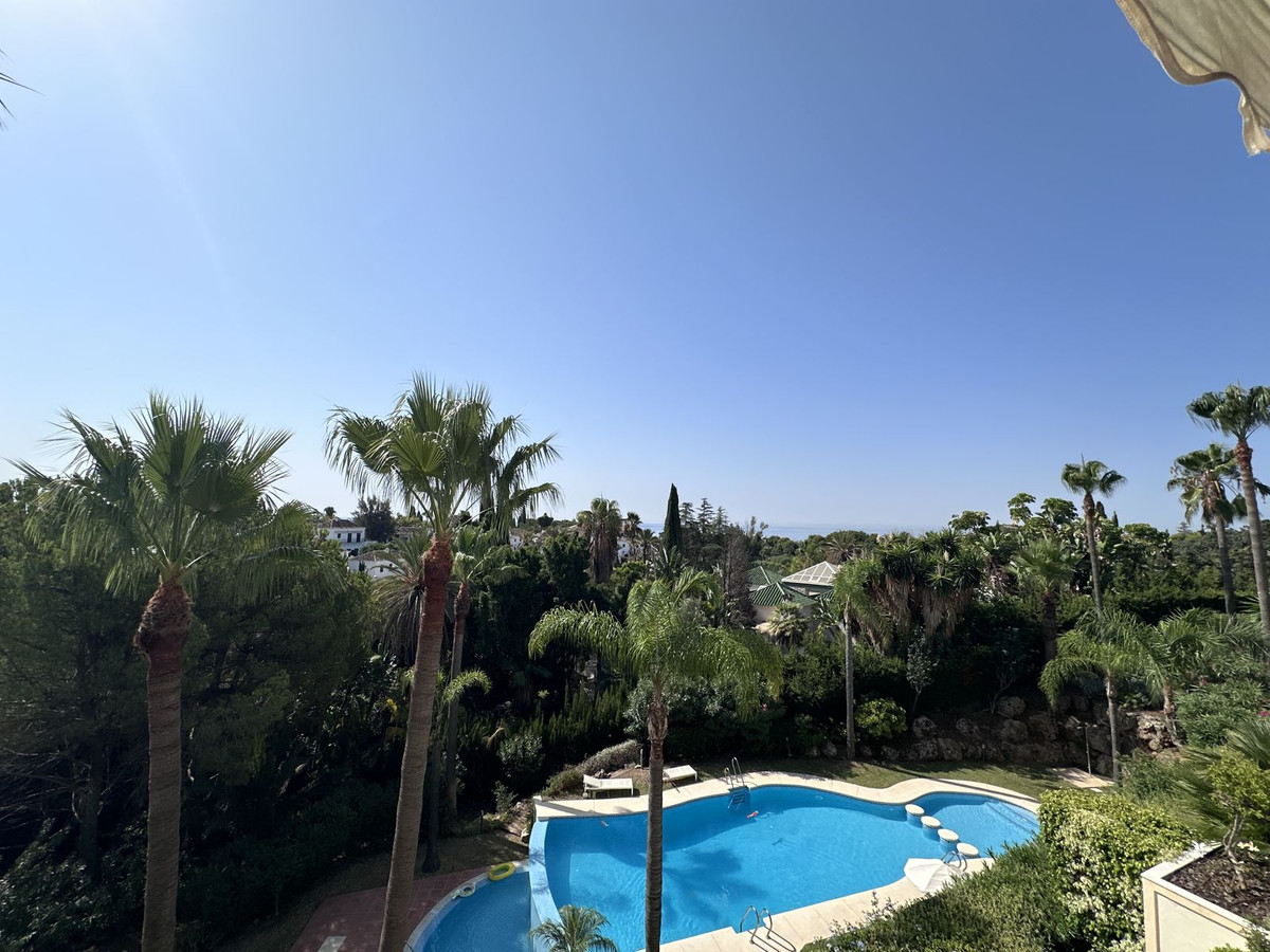 Alfa Marbella