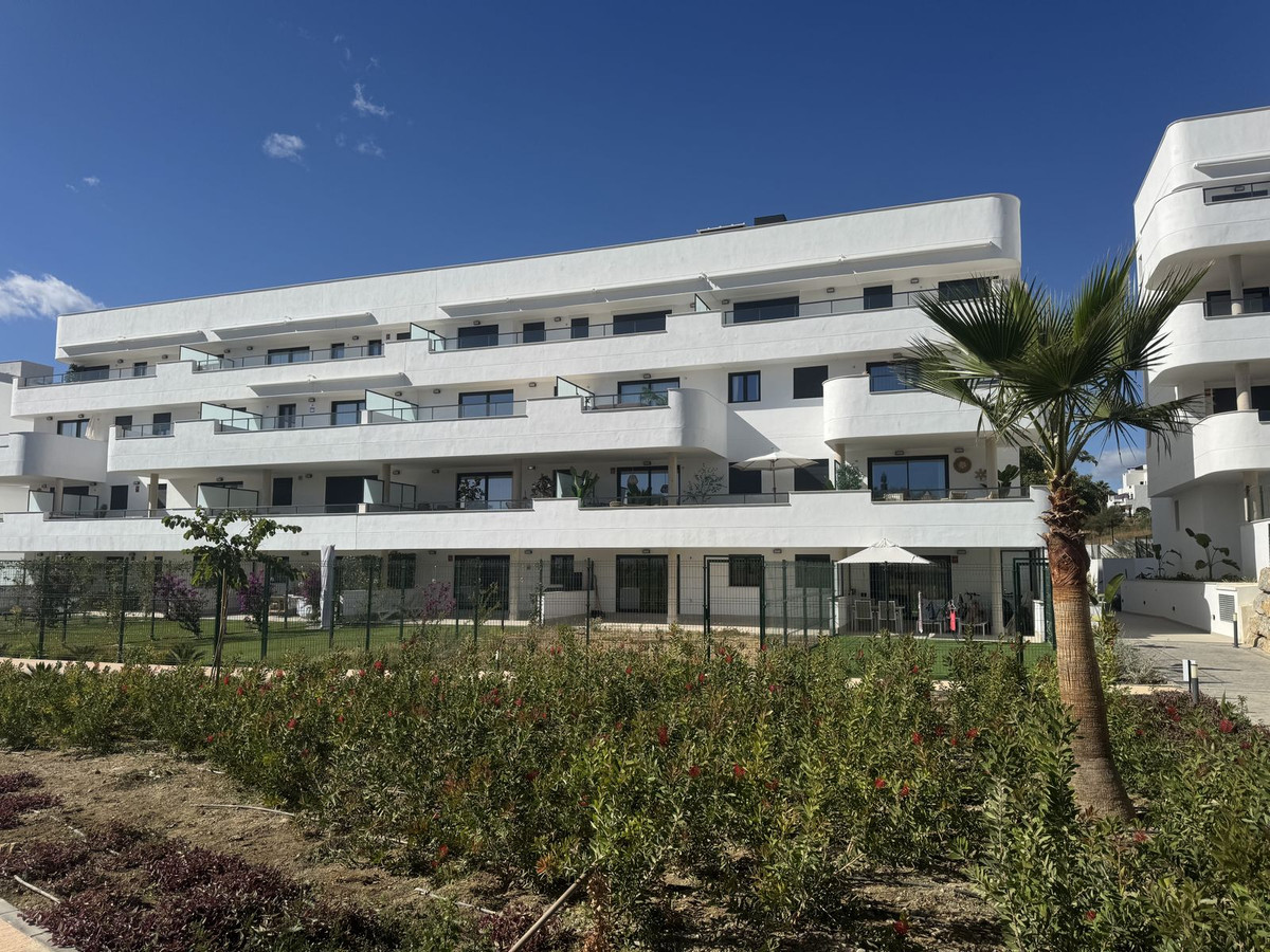 Alfa Marbella