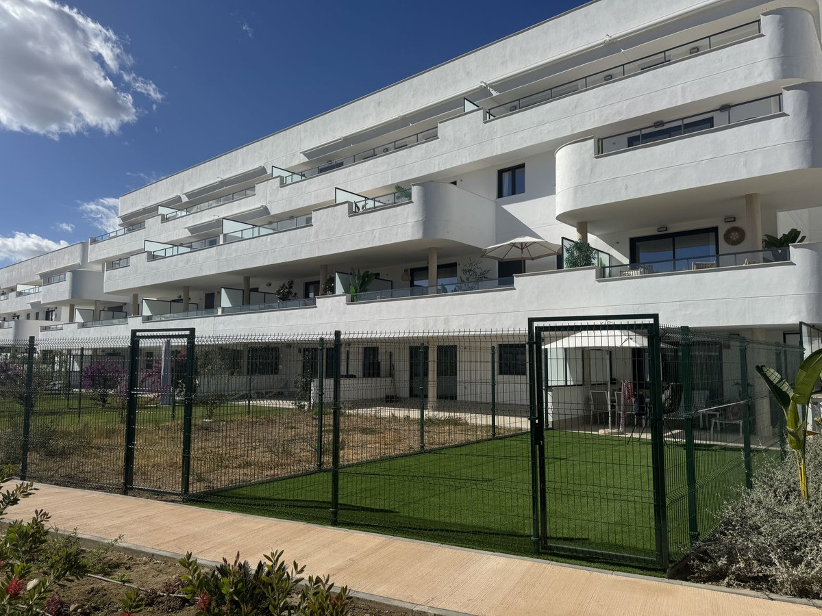 Alfa Marbella