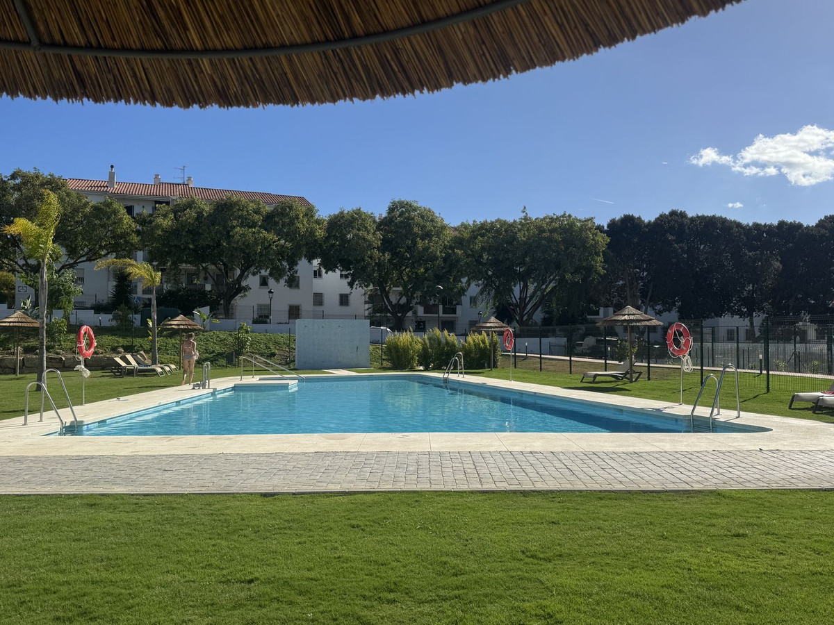 Alfa Marbella