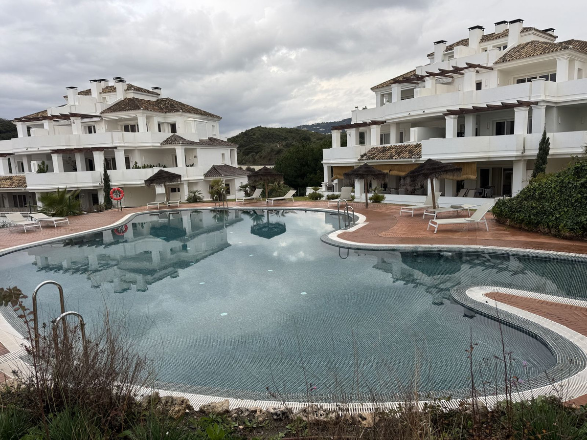 Alfa Marbella