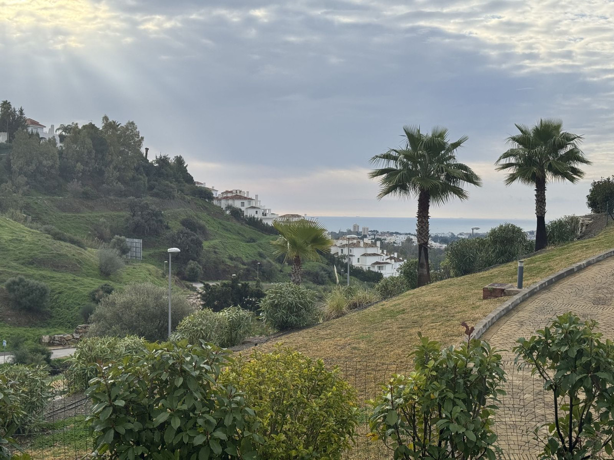 Alfa Marbella
