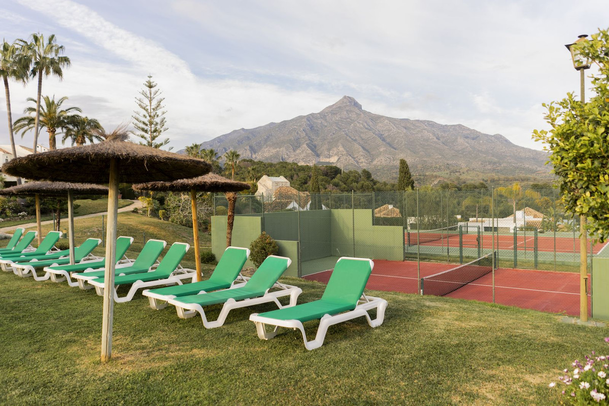 Alfa Marbella