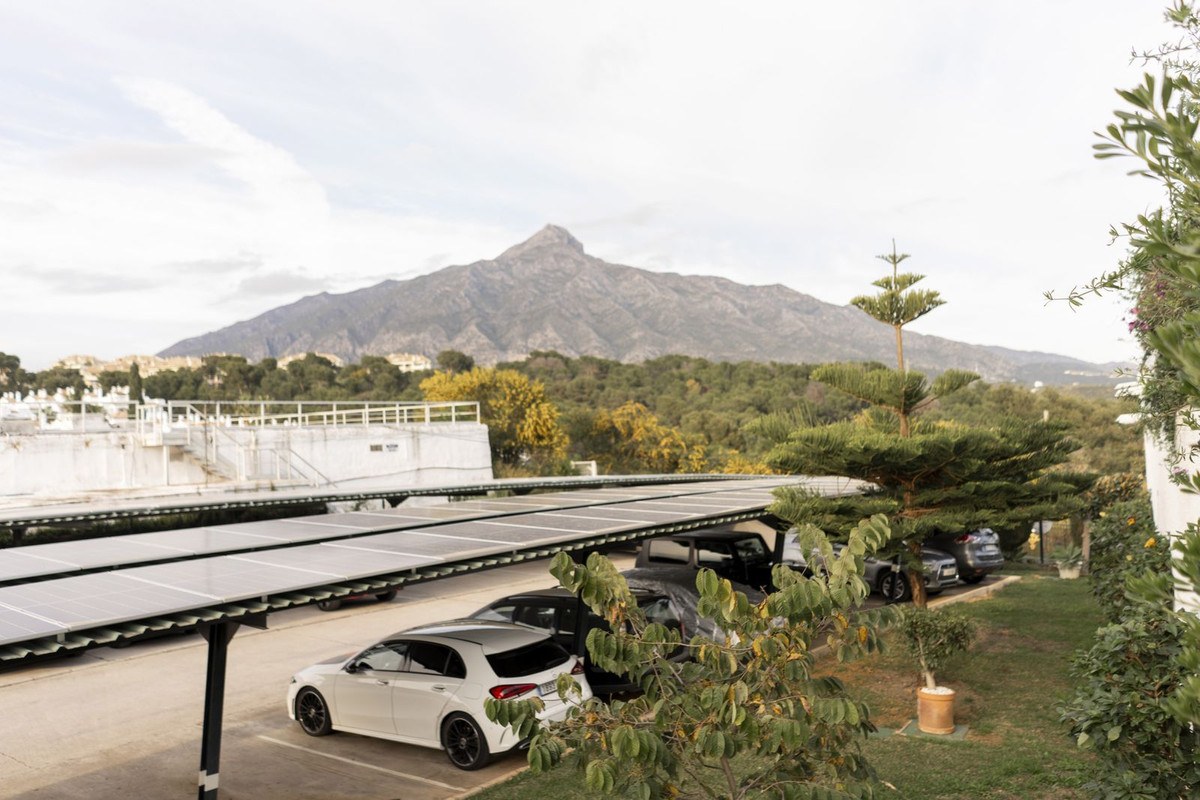 Alfa Marbella