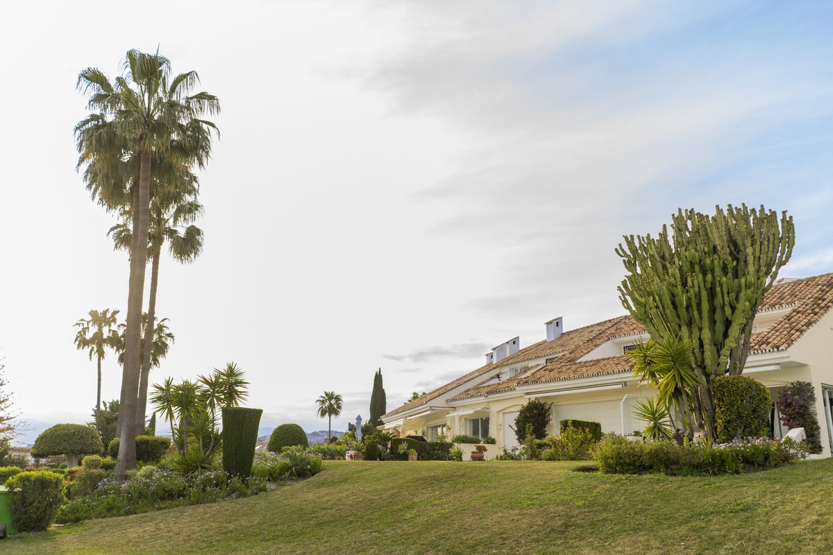 Alfa Marbella
