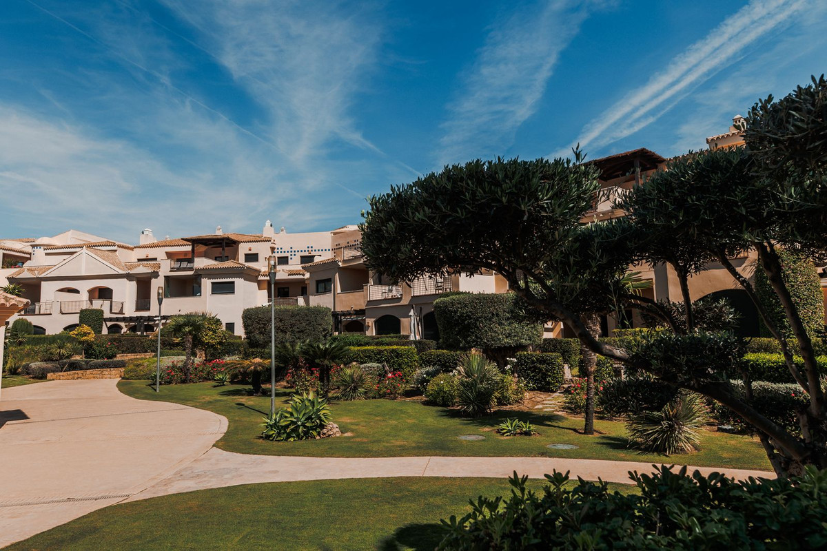 Alfa Marbella