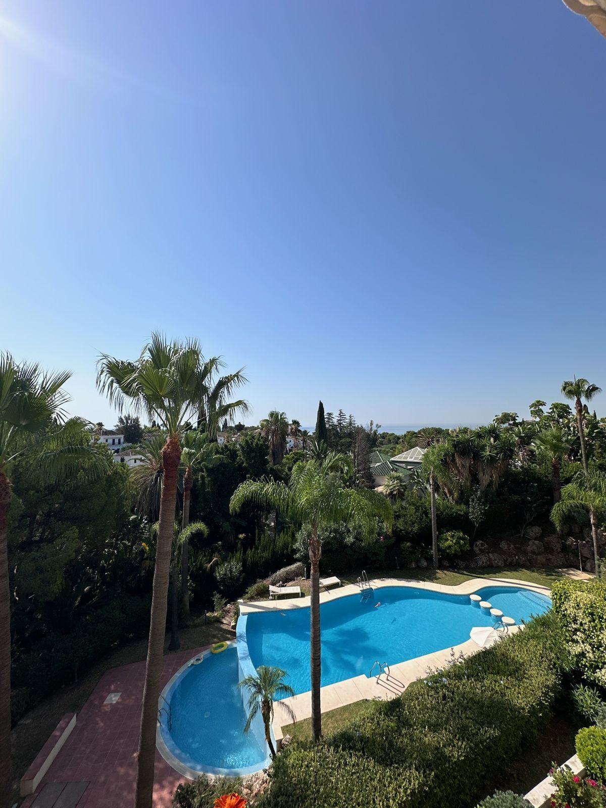 Alfa Marbella