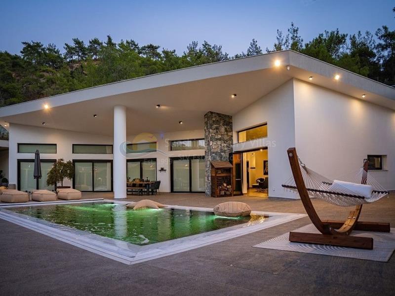 Bungalow in Louvaras