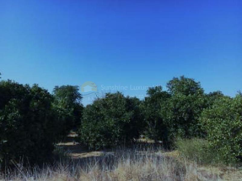 SLV Estates