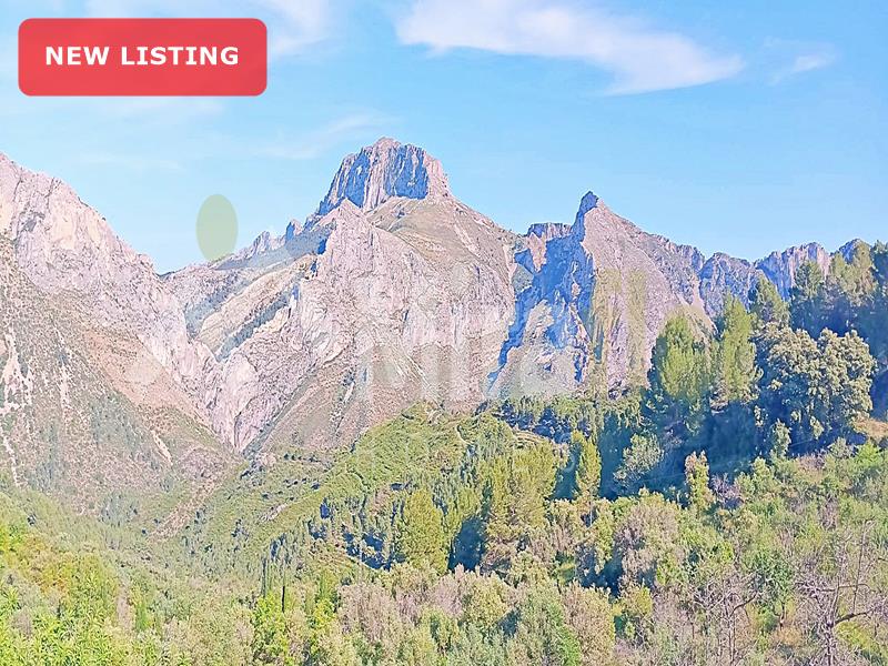 Plot for sale Tormos