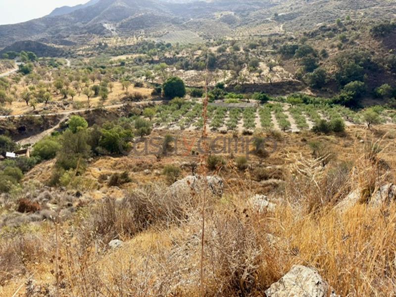 Investment Property in Lubrin